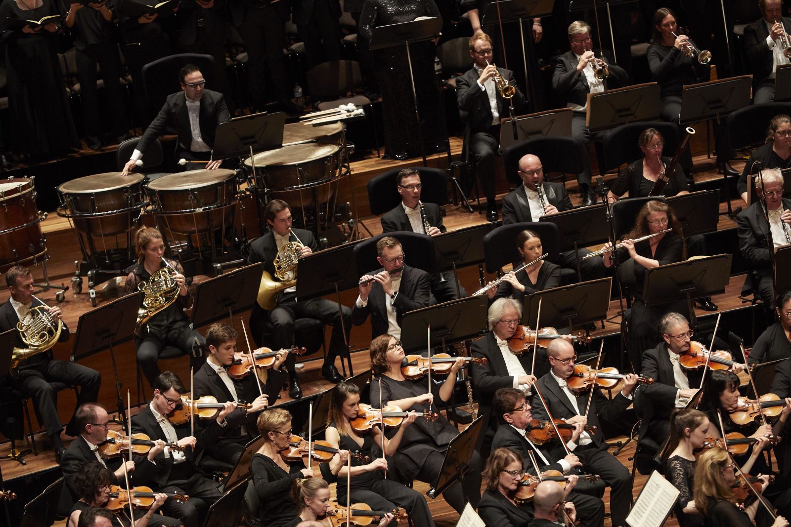 Melbourne Symphony Orchestra (MSO)