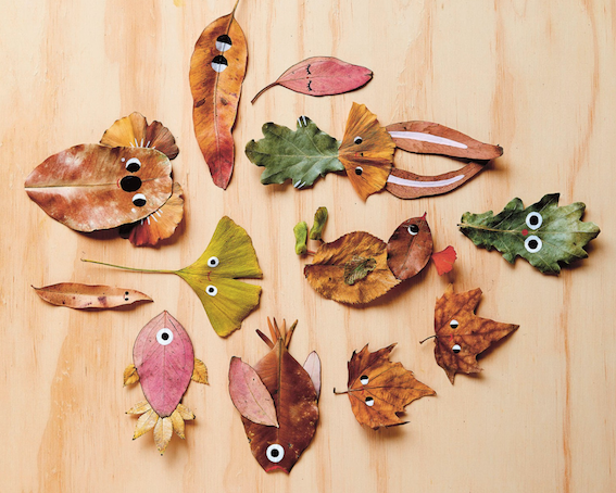 Nature Crafts with Beci Orpin