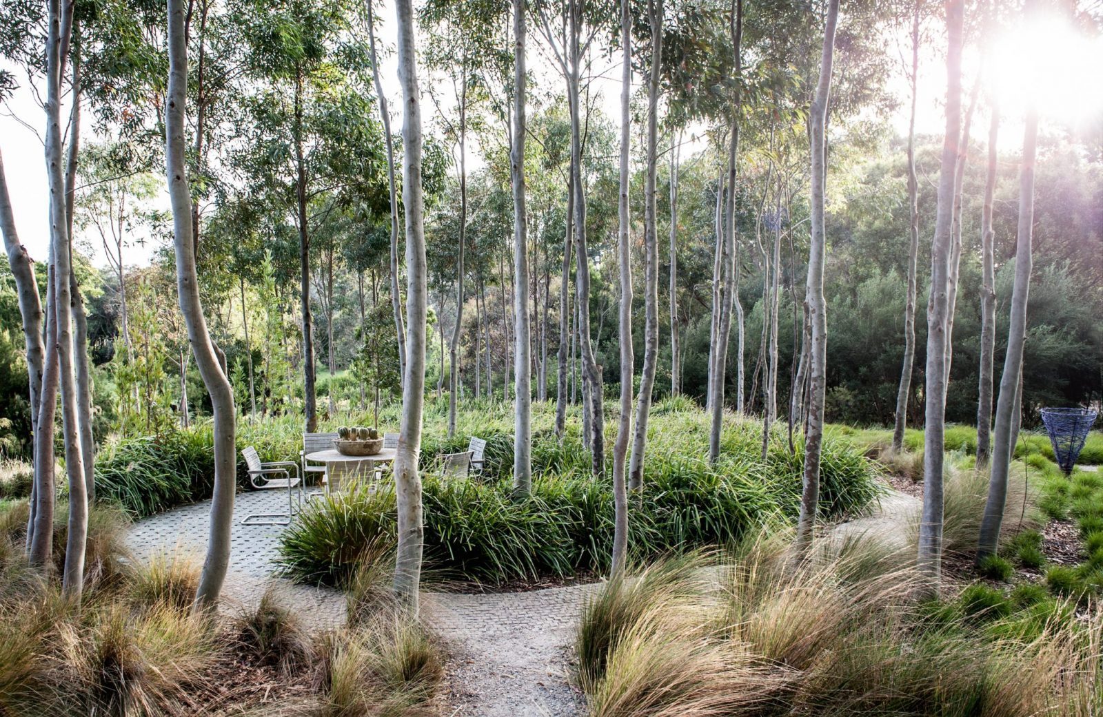 Green Magazine presents ‘Urban Farming: Gardening and Permaculture’