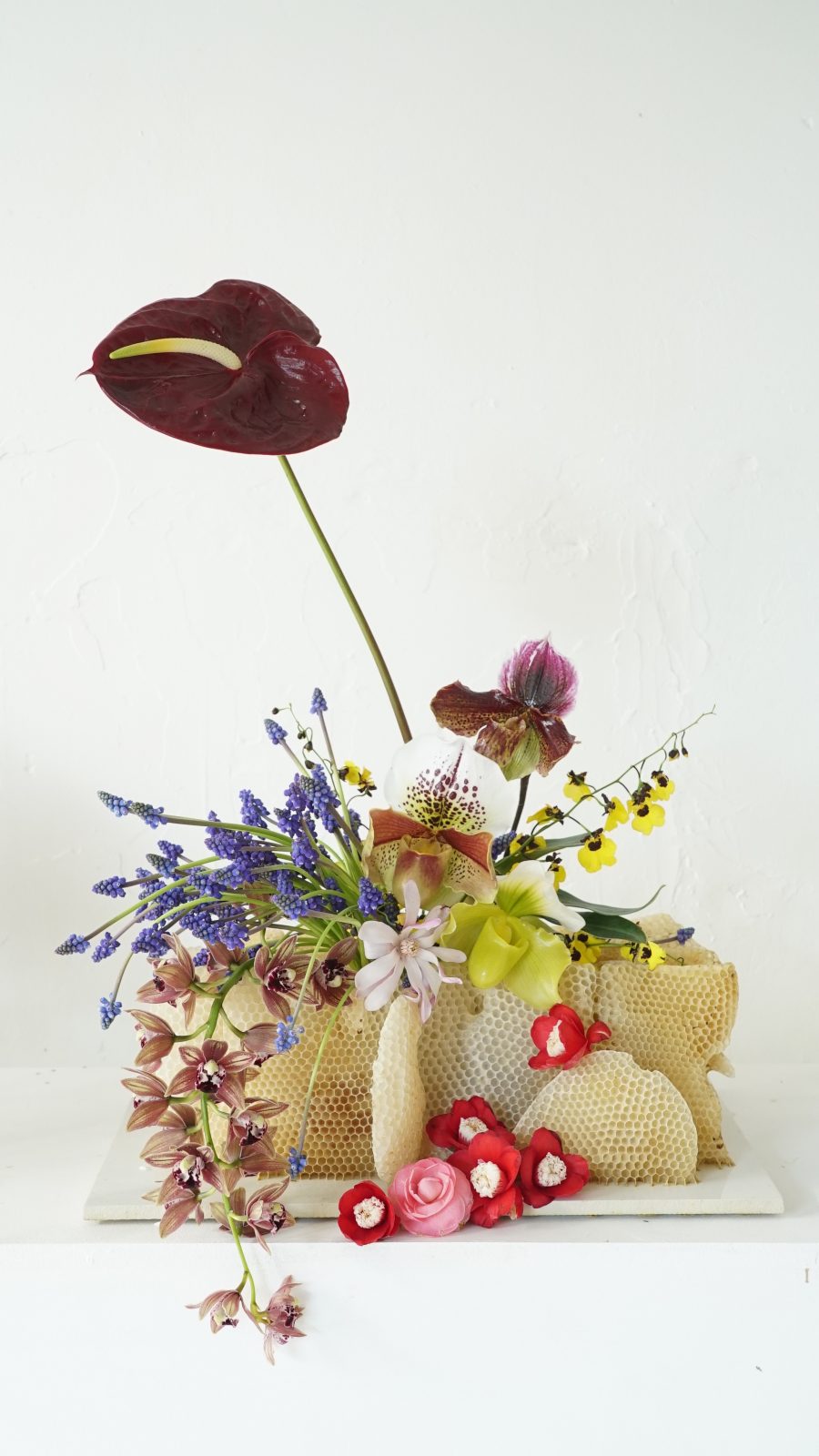 Hattie X Honey Fingers: Botanical landscape + honeycomb vessels