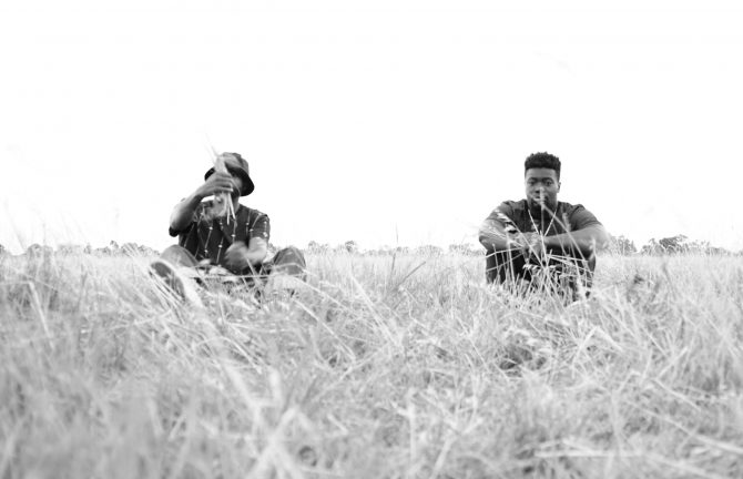 African Lovegrass